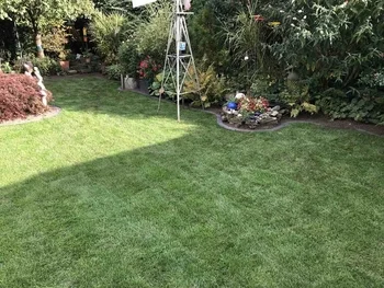 Anlegen von Rasenflächen Dienstleistung Dienstleistungen